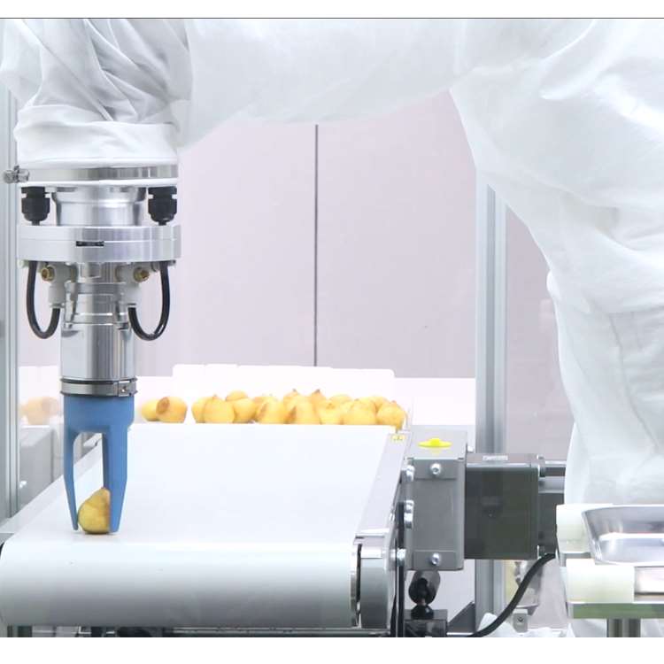 6-Axis CNC Robotic Arm with Li - đánh giá và giá Linear Guide Rail